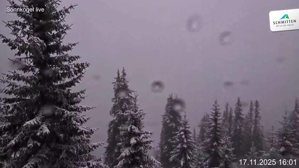 Schmitten: Sonnkogel