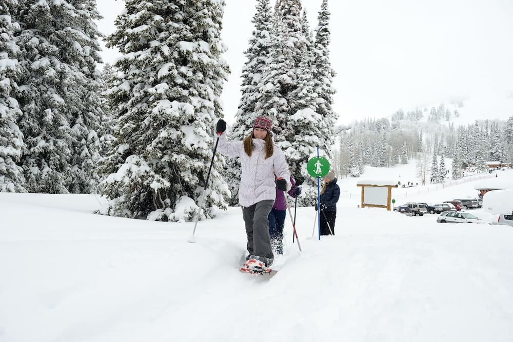Snowshoeing