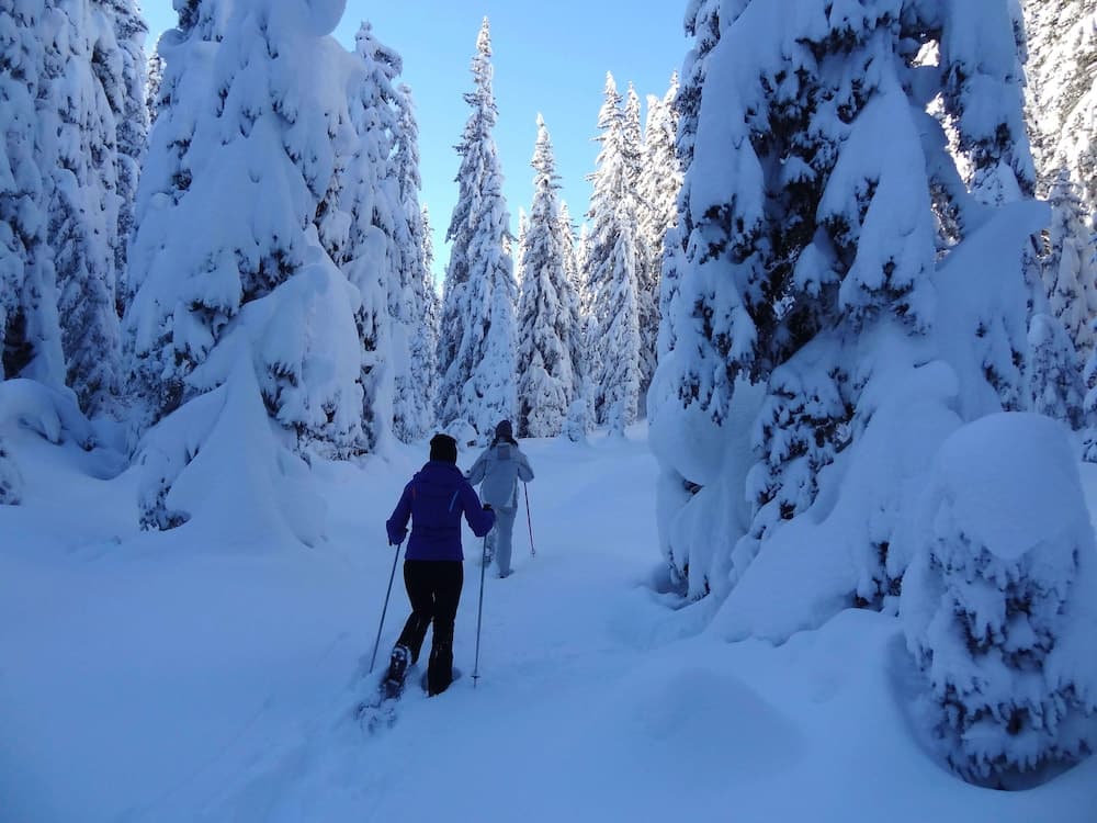 Snowshoeing