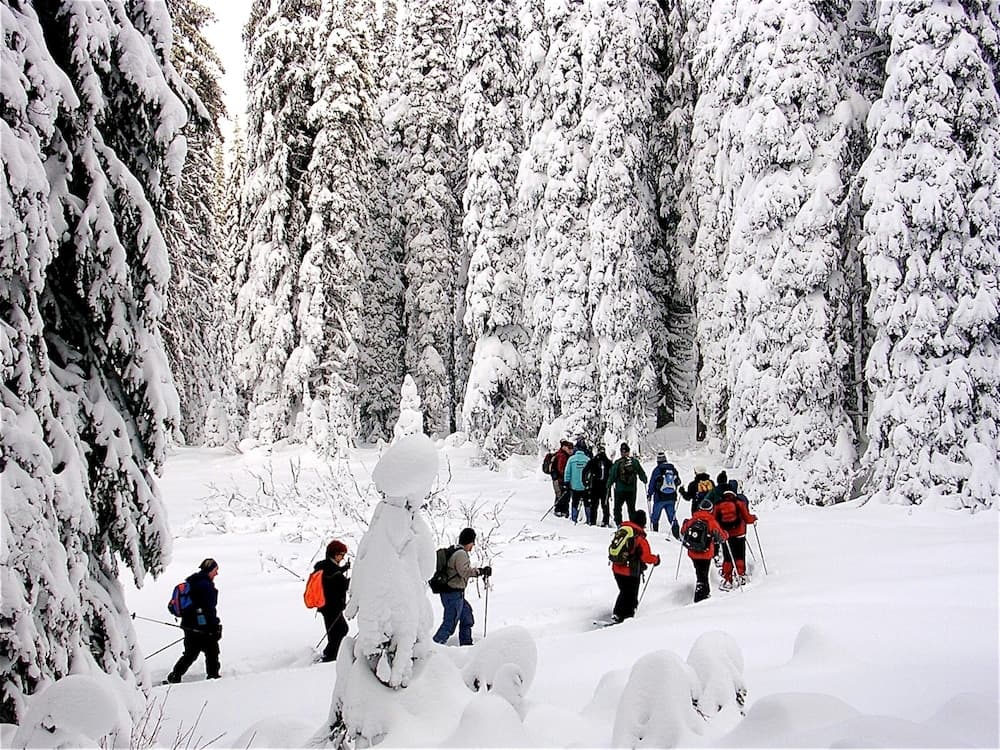 Snow and ski sports