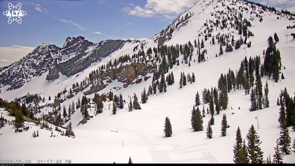 Alta Ski Area - Sugarloaf Peak Mountain webcam