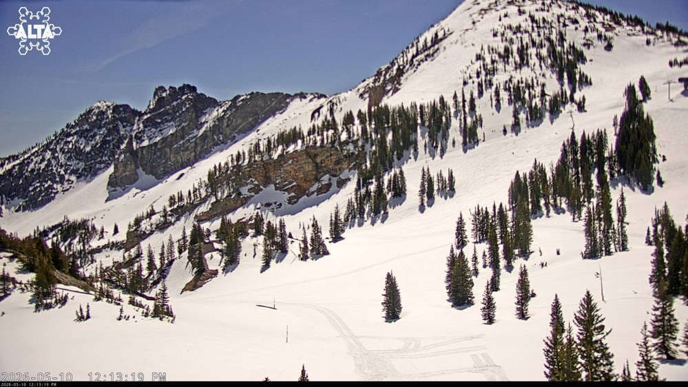 Alta Ski Area - Sugarloaf Peak Mountain webcam