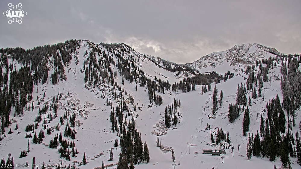 Alta Ski Area - High Rustler Mountain webcam