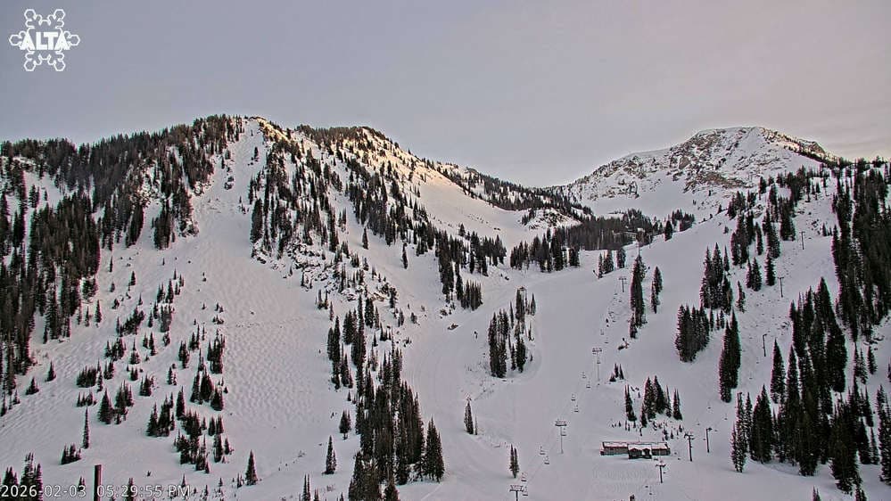 Alta Ski Area - High Rustler Mountain webcam