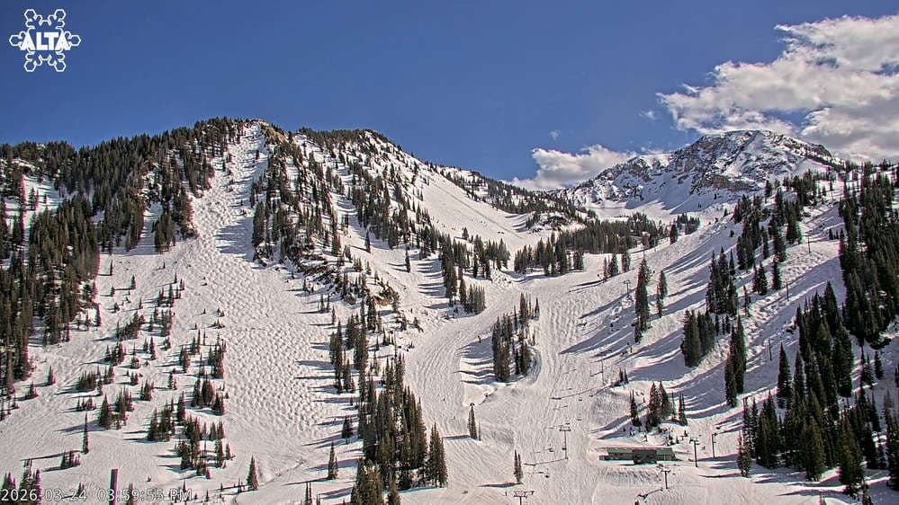Alta Ski Area - High Rustler Mountain webcam
