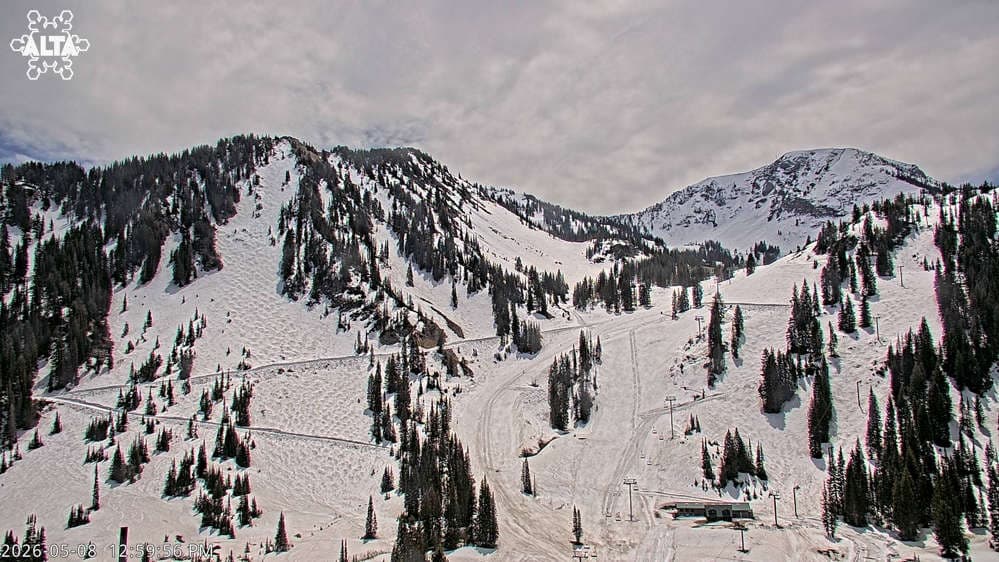 Alta Ski Area - High Rustler Mountain webcam