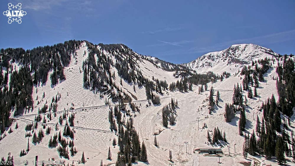 Alta Ski Area - High Rustler Mountain webcam