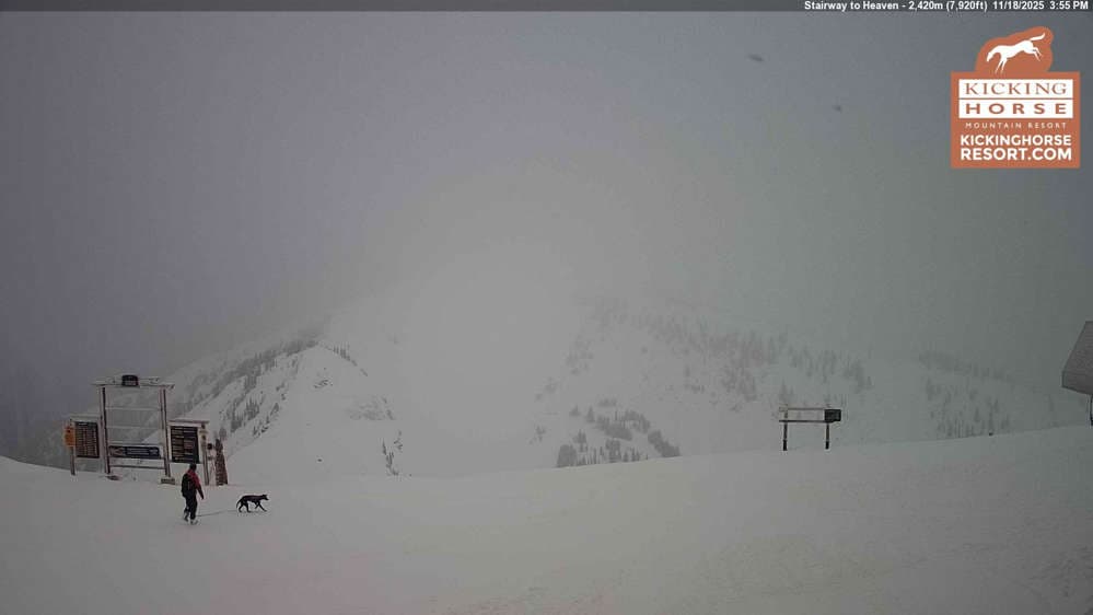 Kicking Horse - Stairway