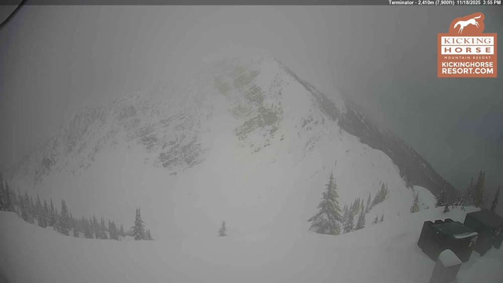 Kicking Horse - Terminator