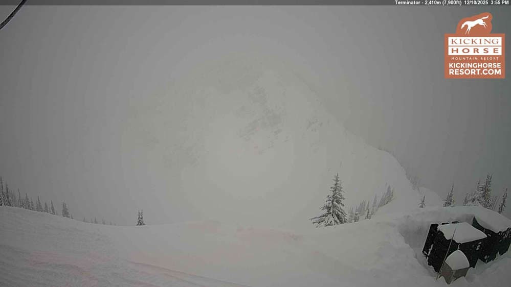 Kicking Horse - Terminator