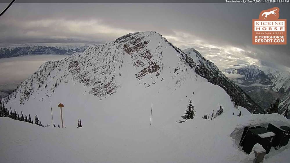 Kicking Horse - Terminator