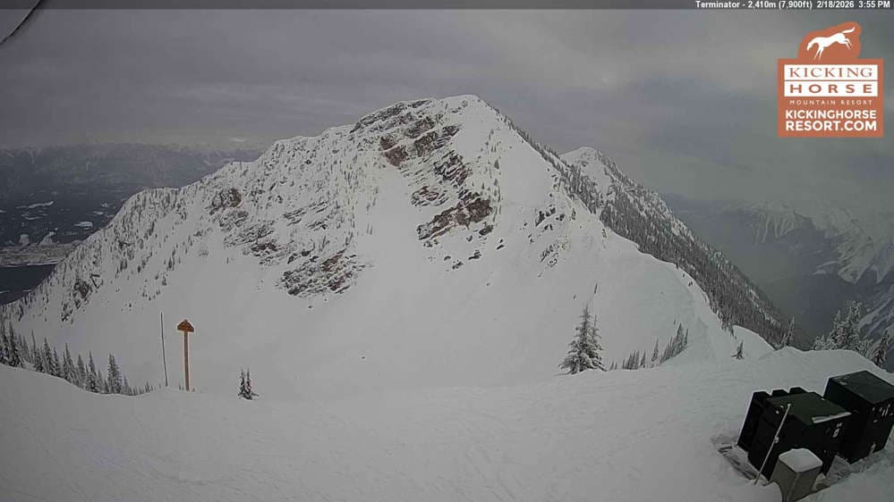 Kicking Horse - Terminator