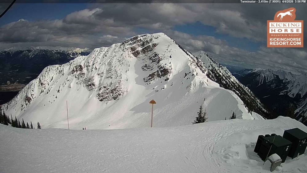 Kicking Horse - Terminator