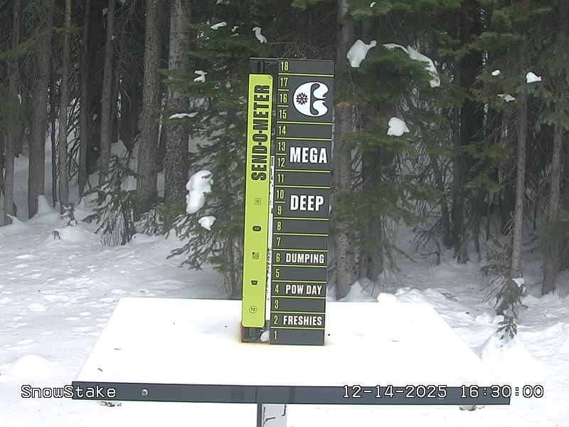 Snowstake Cam