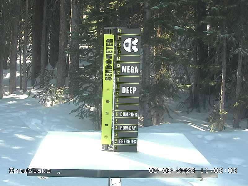 Snowstake Cam