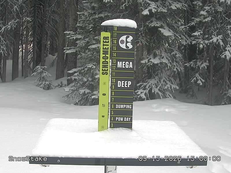 Snowstake Cam