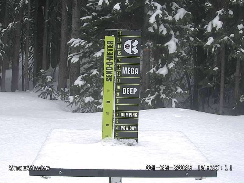 Snowstake Cam