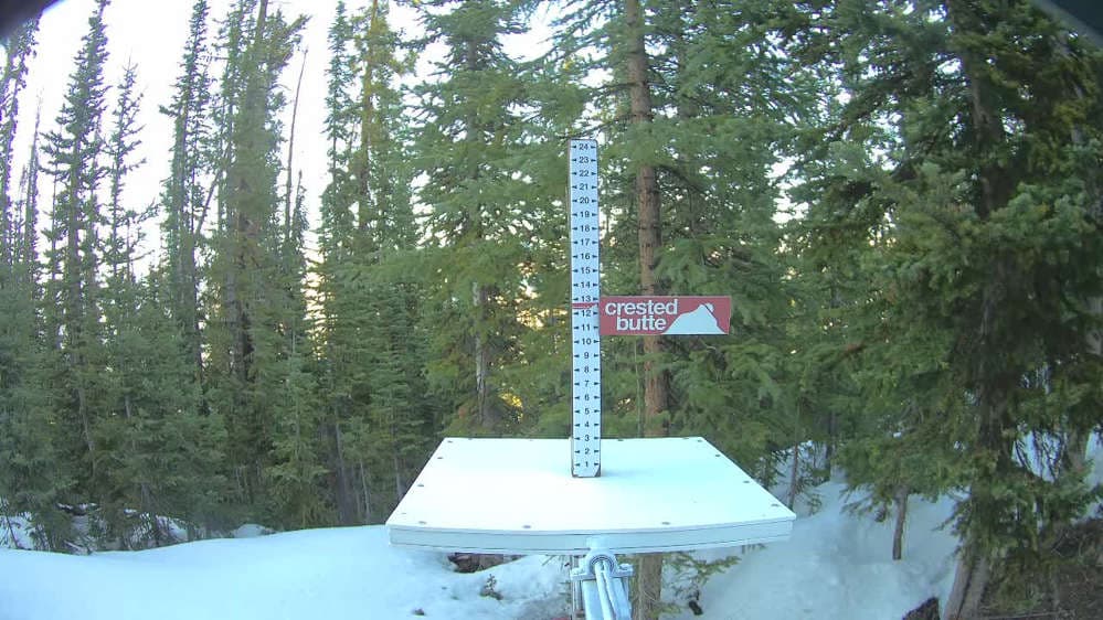 Official Snow Stake