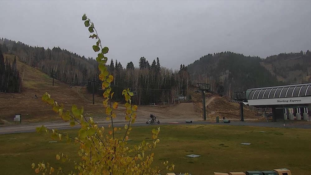 Silver Lake Lodge Cam