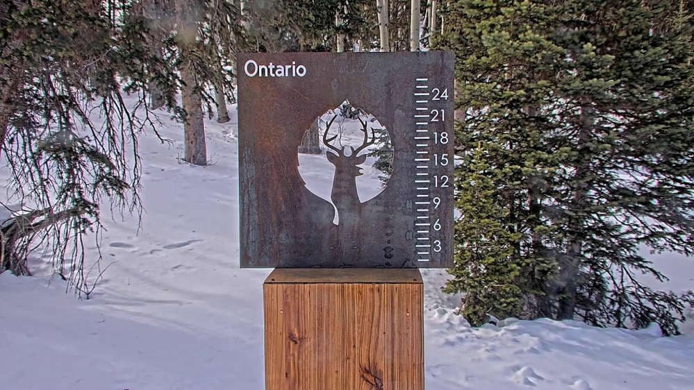 Ontario Snow Stake 