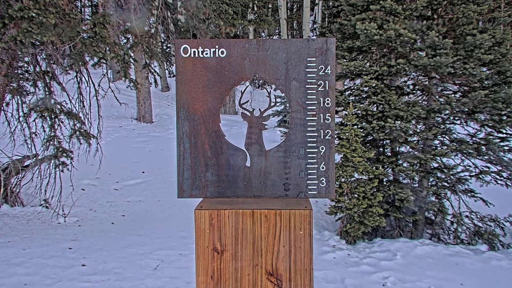 Ontario Snow Stake 