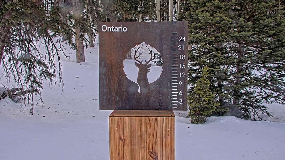Ontario Snow Stake 