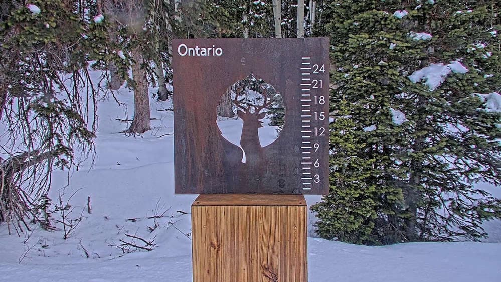 Ontario Snow Stake 