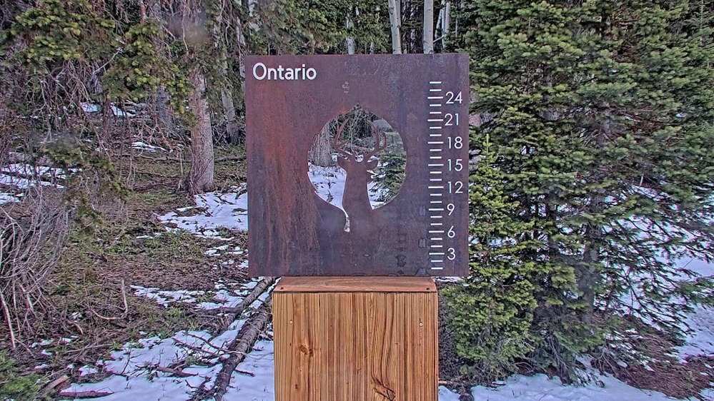 Ontario Snow Stake 
