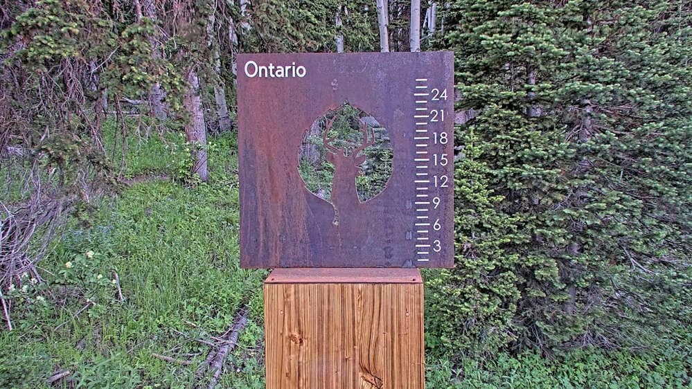 Ontario Snow Stake 
