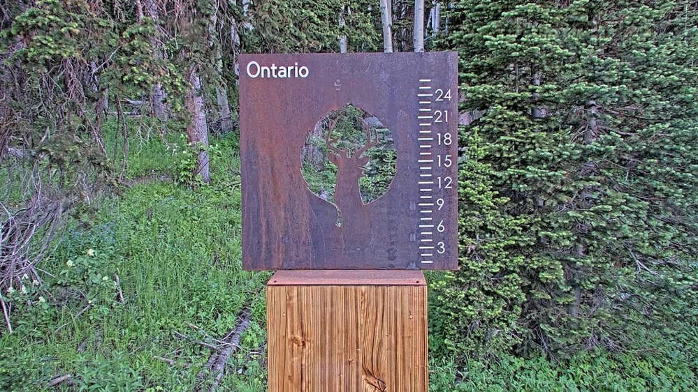 Ontario Snow Stake 