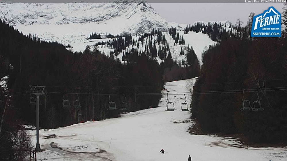 Fernie: Lizard View from Great Bear