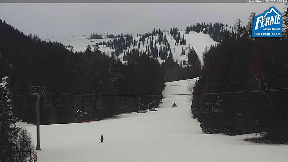 Fernie: Lizard View from Great Bear