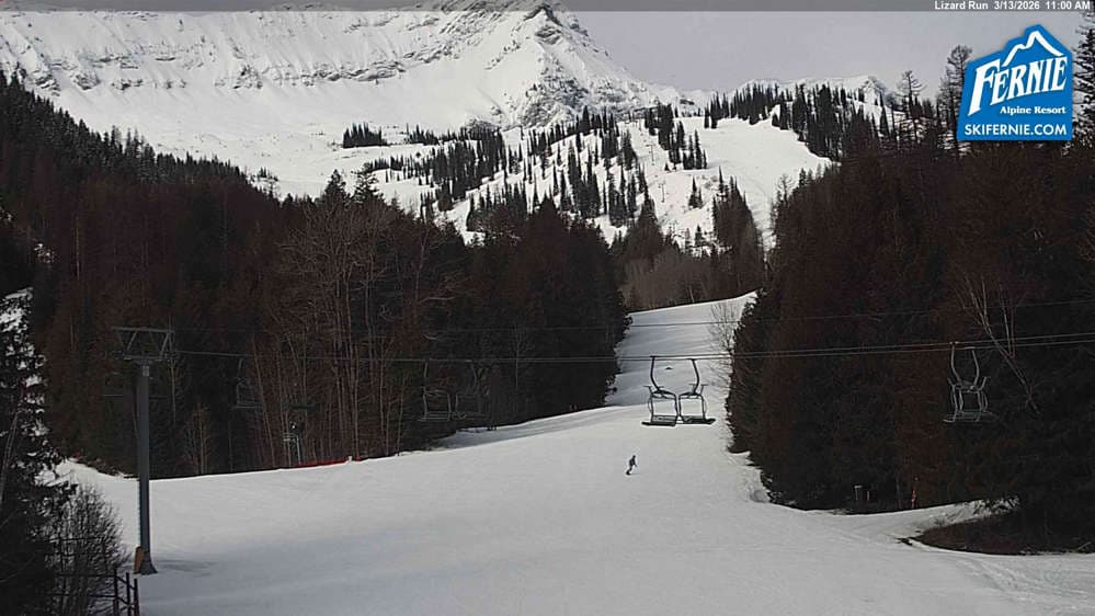 Fernie: Lizard View from Great Bear