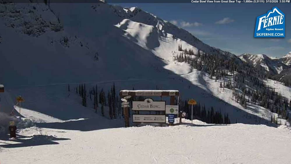 Fernie: Cedar Bowl View from Great Bear