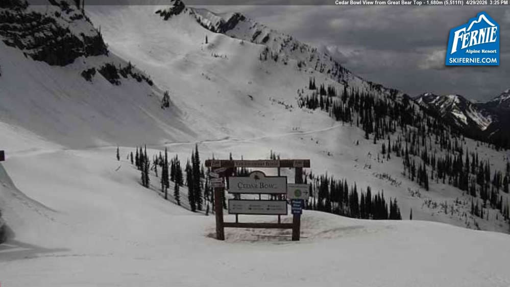 Fernie: Cedar Bowl View from Great Bear