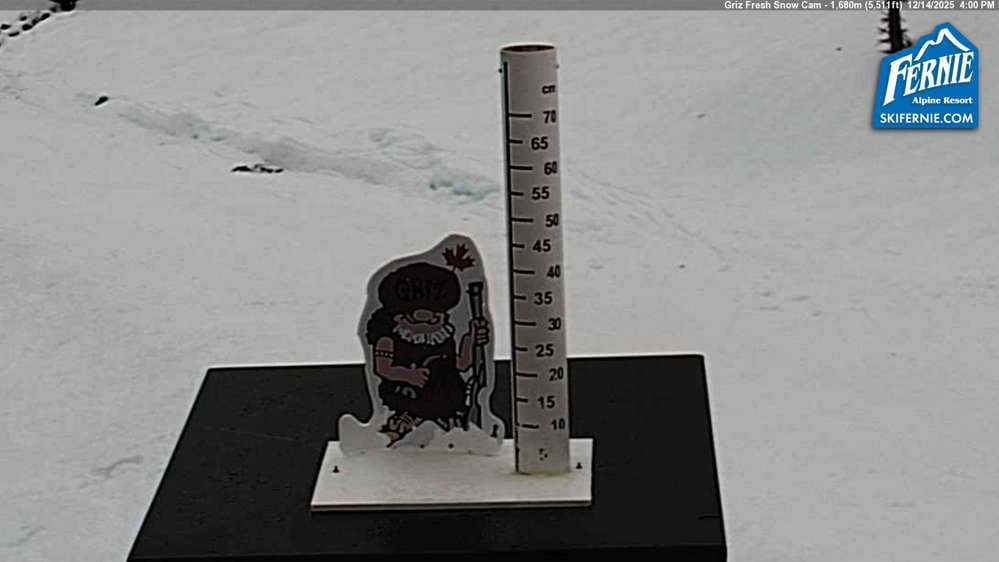 Fernie: Griz Fresh Snow Cam