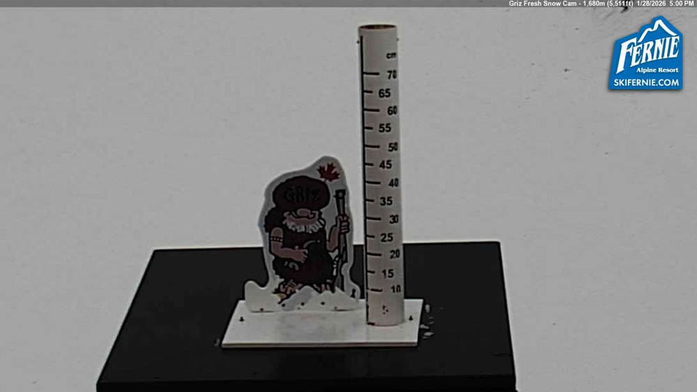 Fernie: Griz Fresh Snow Cam