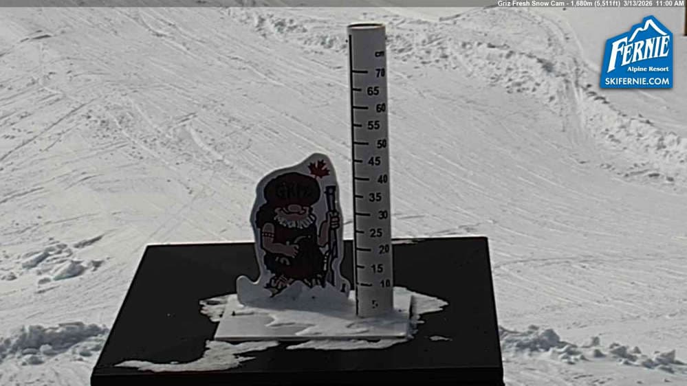 Fernie: Griz Fresh Snow Cam
