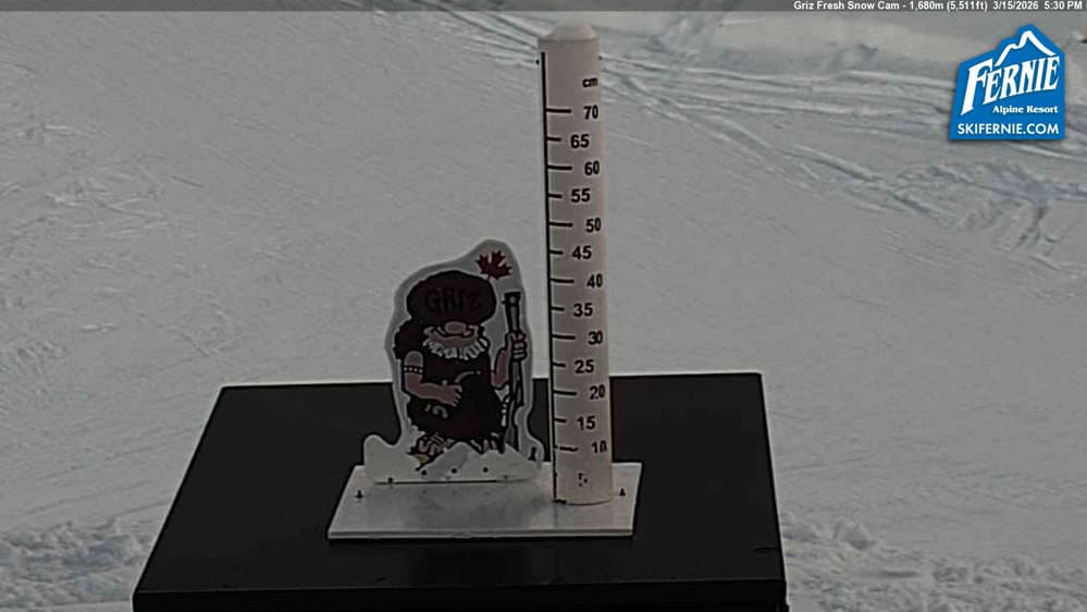 Fernie: Griz Fresh Snow Cam