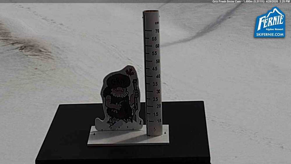 Fernie: Griz Fresh Snow Cam