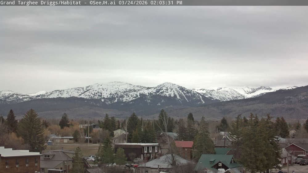 Grand Targhee Resort - Habitat / Colter