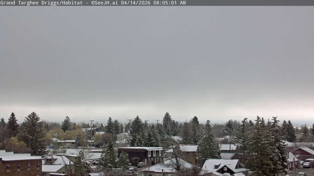 Grand Targhee Resort - Habitat / Colter