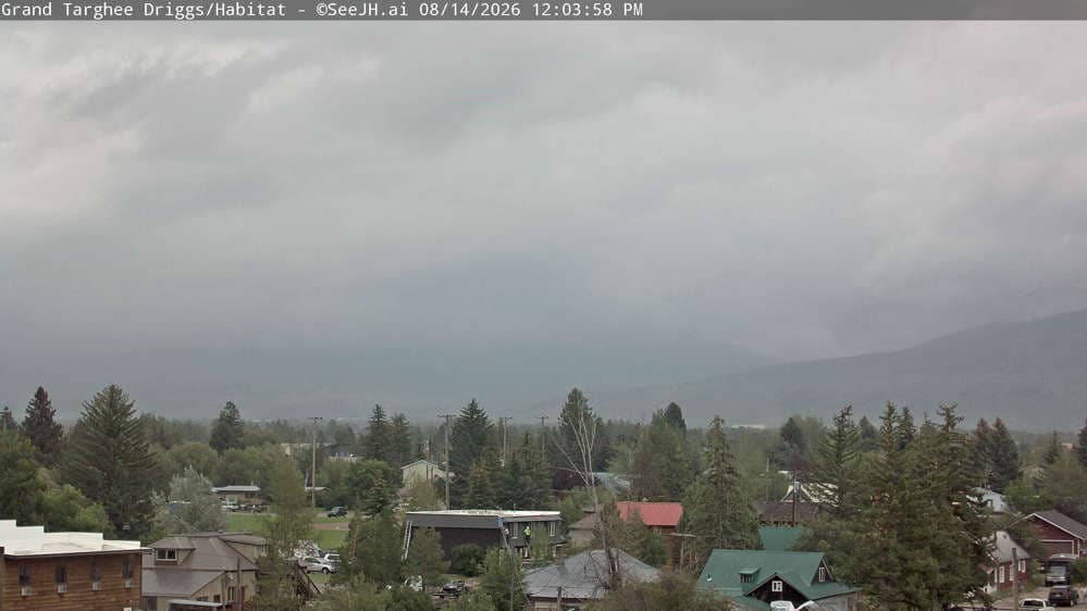 Grand Targhee Resort - Habitat / Colter