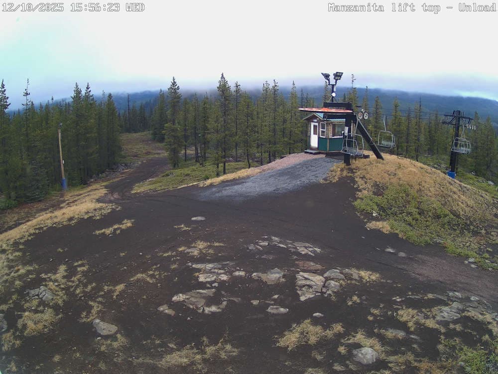 Hoodoo Manzanita Chair