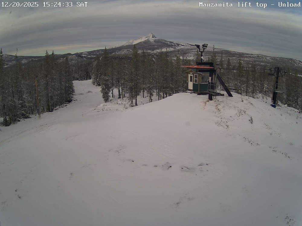 Hoodoo Manzanita Chair