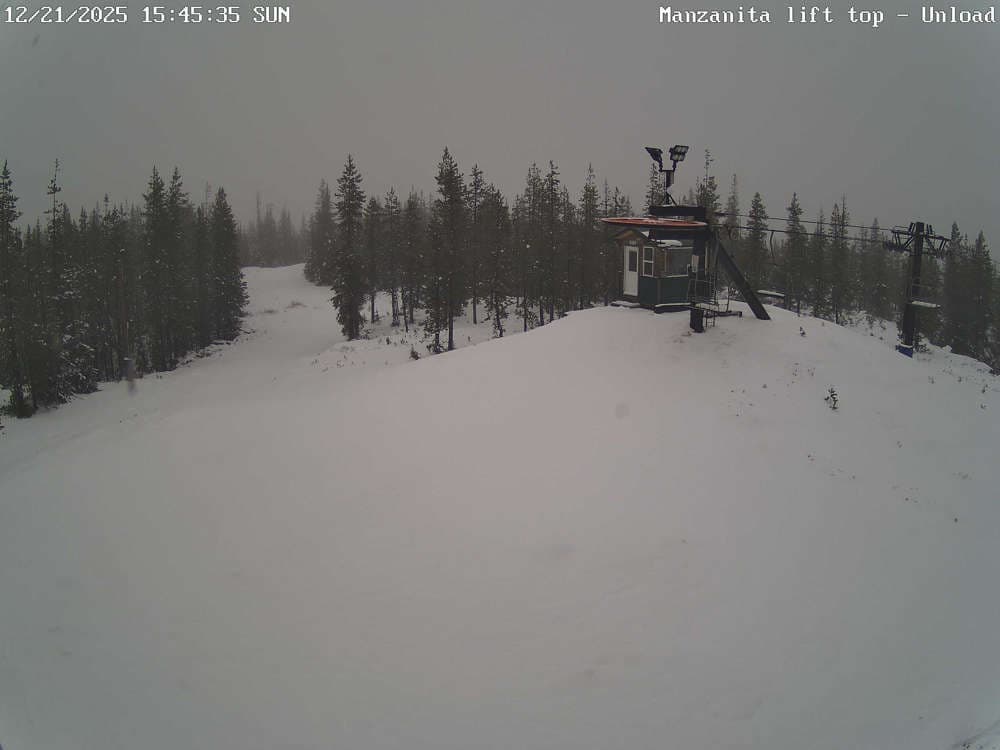 Hoodoo Manzanita Chair