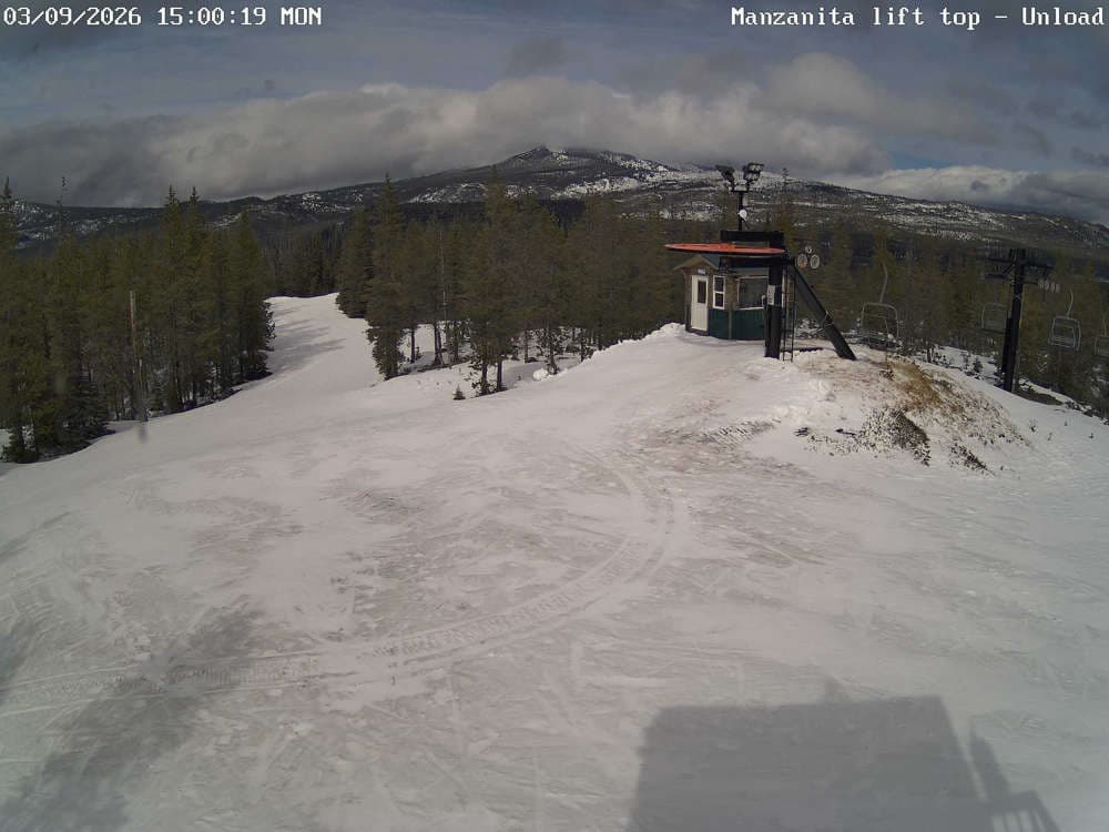 Hoodoo Manzanita Chair