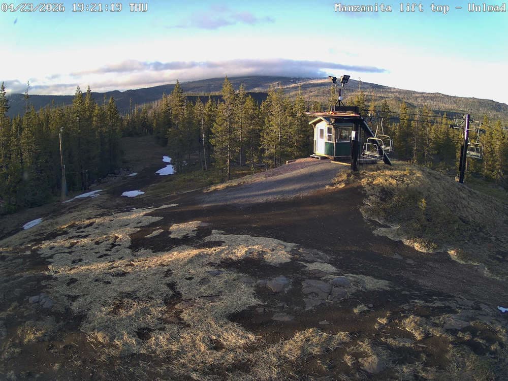 Hoodoo Manzanita Chair