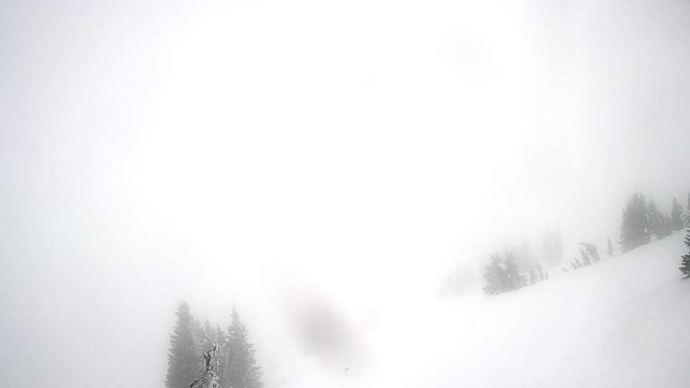 Jackson Hole - Cody Bowl Webcam