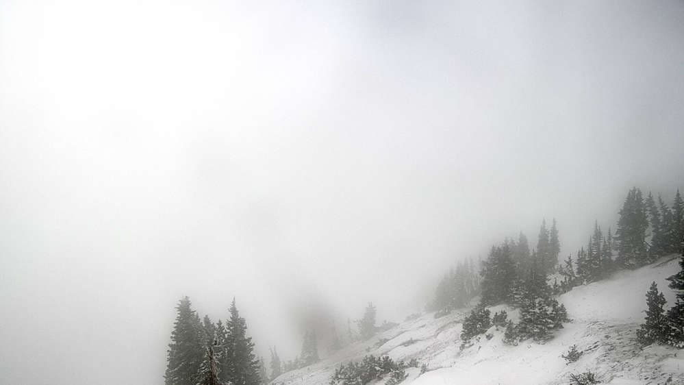 Jackson Hole - Cody Bowl Webcam